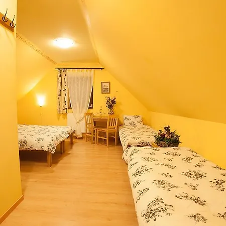 Guest house Zatisi 3*
