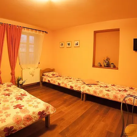 Guest house Zatisi 3*
