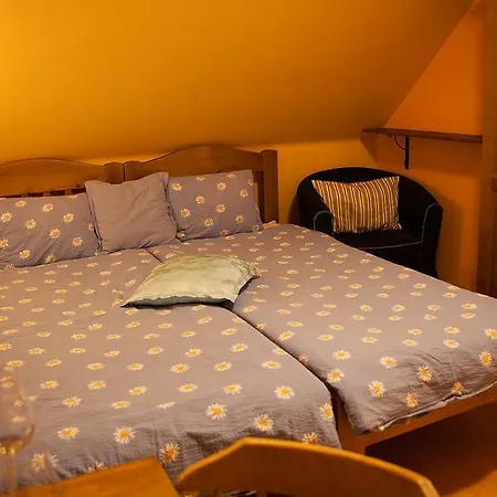 Zatisi Guest house 3*