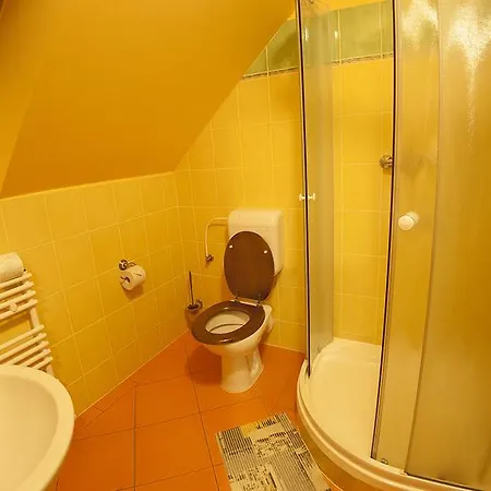 Guest house Zatisi 3*