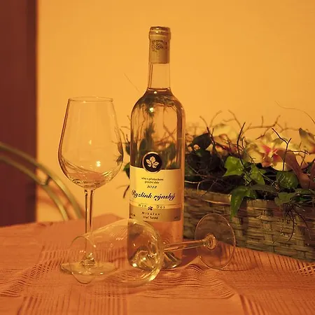 Guest house Zatisi