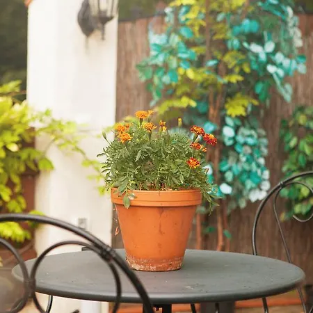 Zatisi Guest house 3*